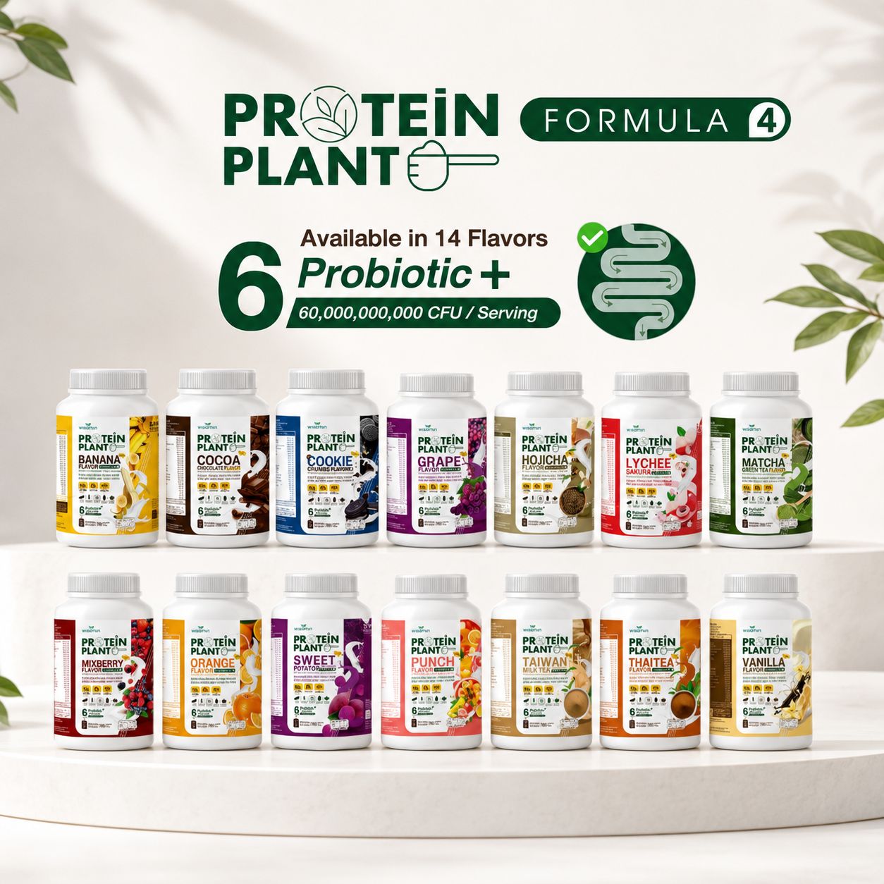โปรตีนพืช สูตร 4 (Probiotics)