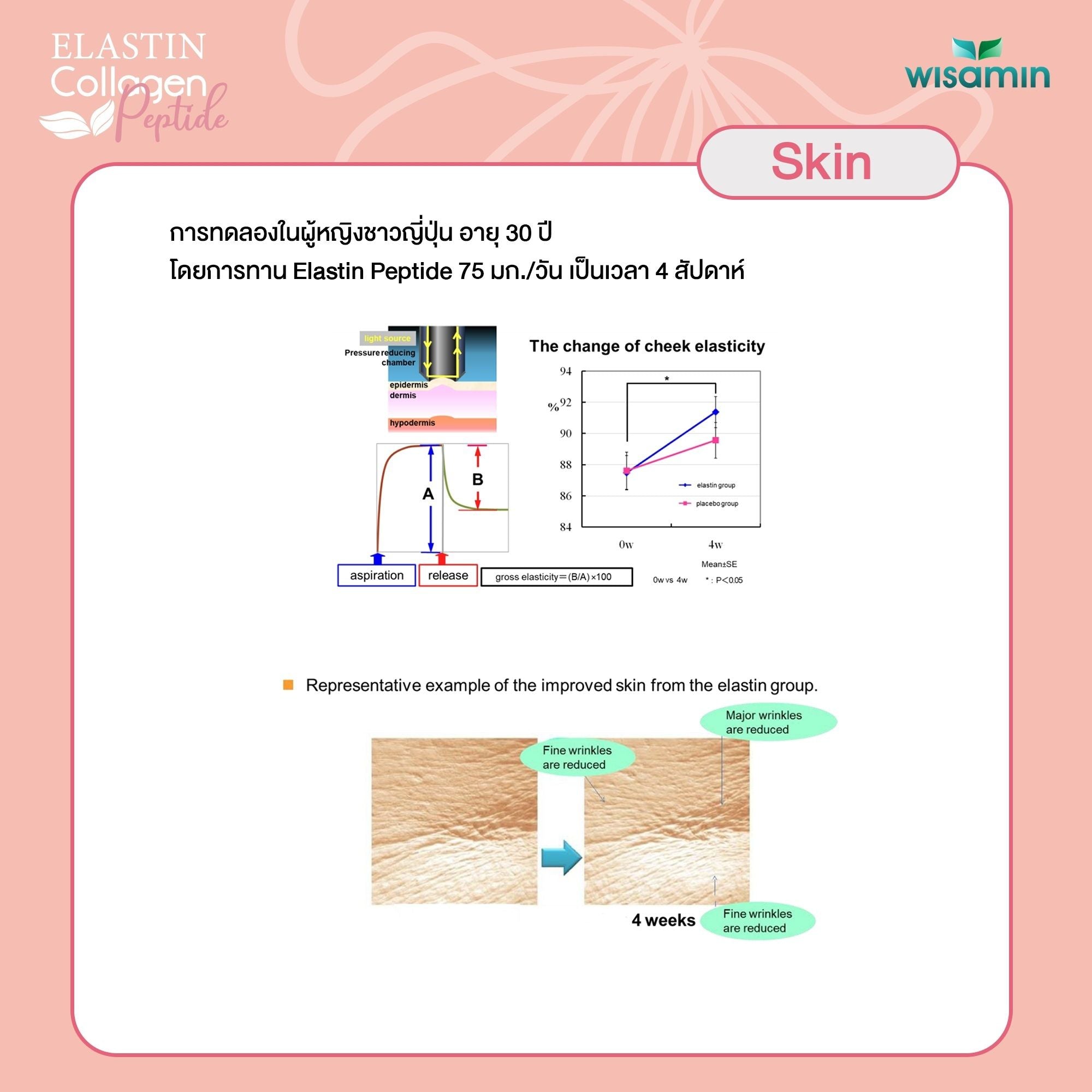 WISAMIN Elastin Collagen Peptide อีลาสติน คอลลาเจนเปปไทด์ (ตราวิษามิน) 15 ซอง