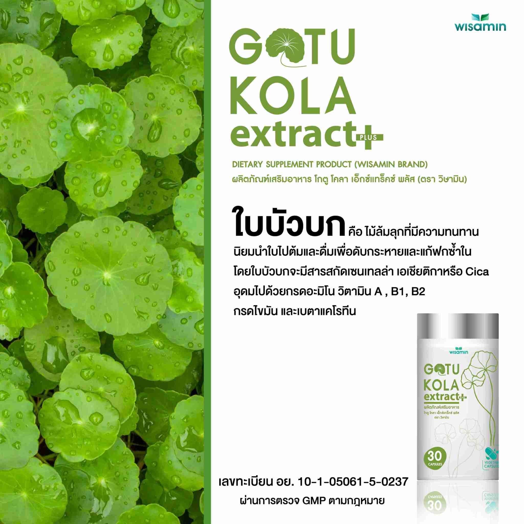 WISAMIN Gotu Kola Extract Plus สารสกัดจากใบบัวบก (ตราวิษามิน) 30 แคปซูล