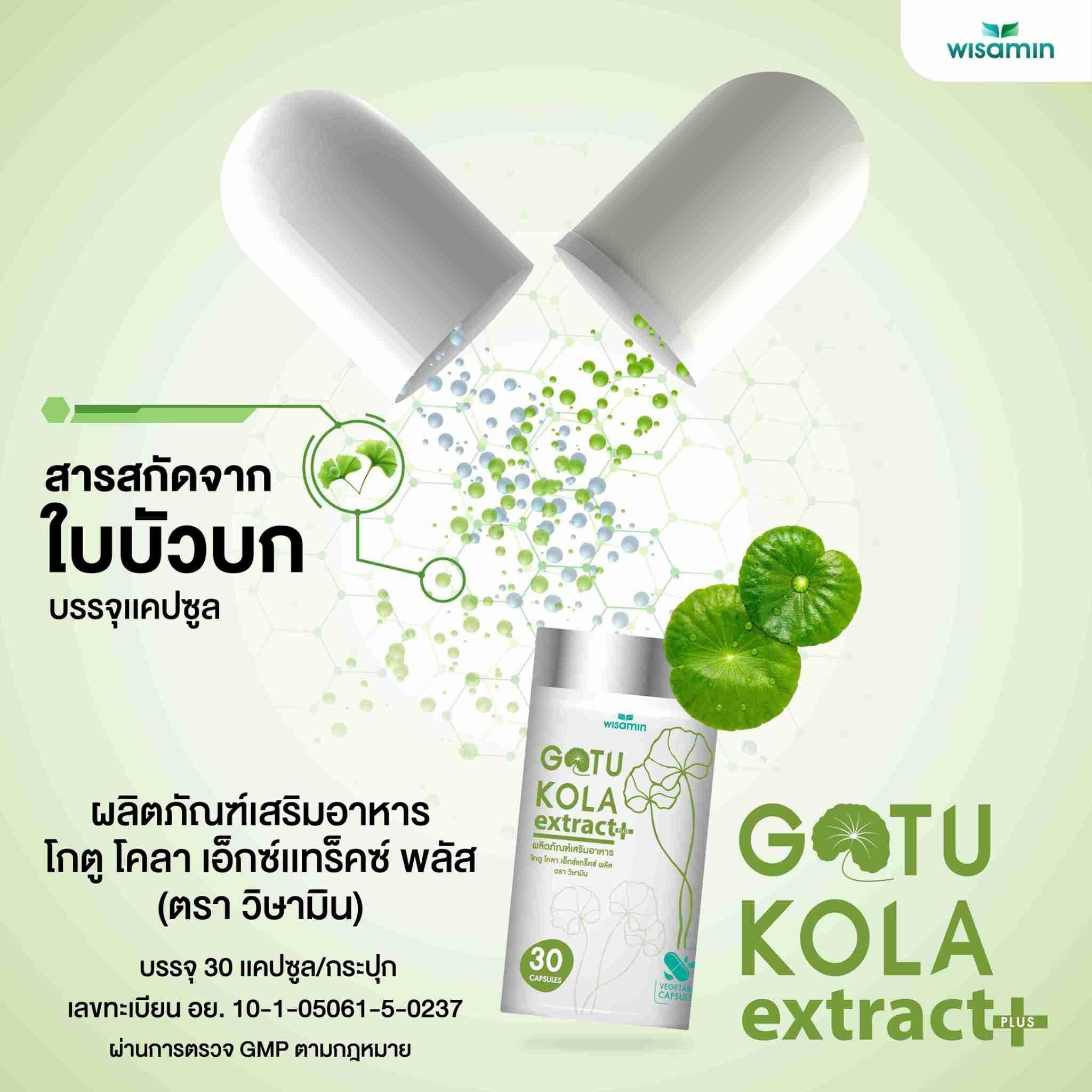 WISAMIN Gotu Kola Extract Plus สารสกัดจากใบบัวบก (ตราวิษามิน) 30 แคปซูล