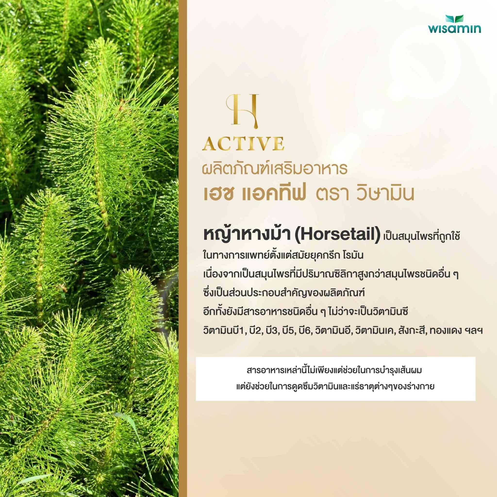 WISAMIN H-Active สารสกัดจากหญ้าหางม้า (ตราวิษามิน) 30 แคปซูล